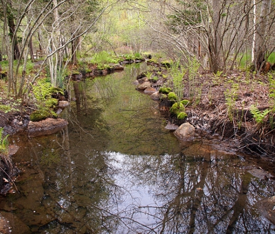 [Looking at the irregular-shaped pond from a bridge over it seeing the reflection of the trees and the mountain and the sky in it.]